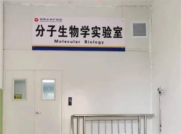 分子生物实验室