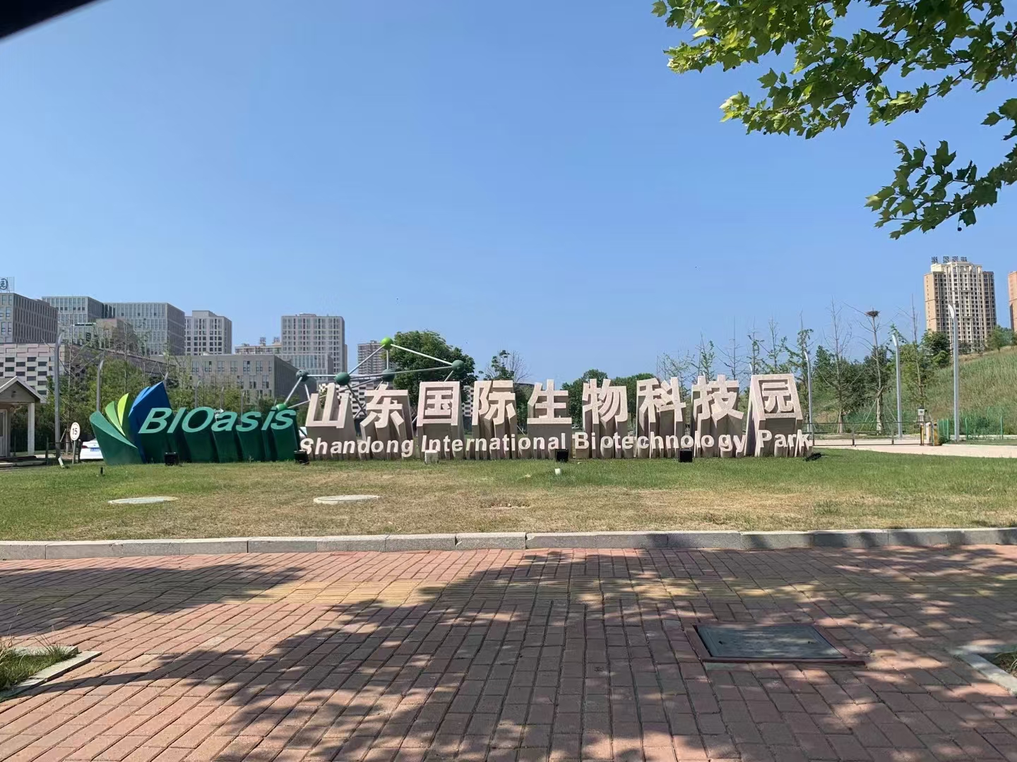 山东华思生物科技有限公司