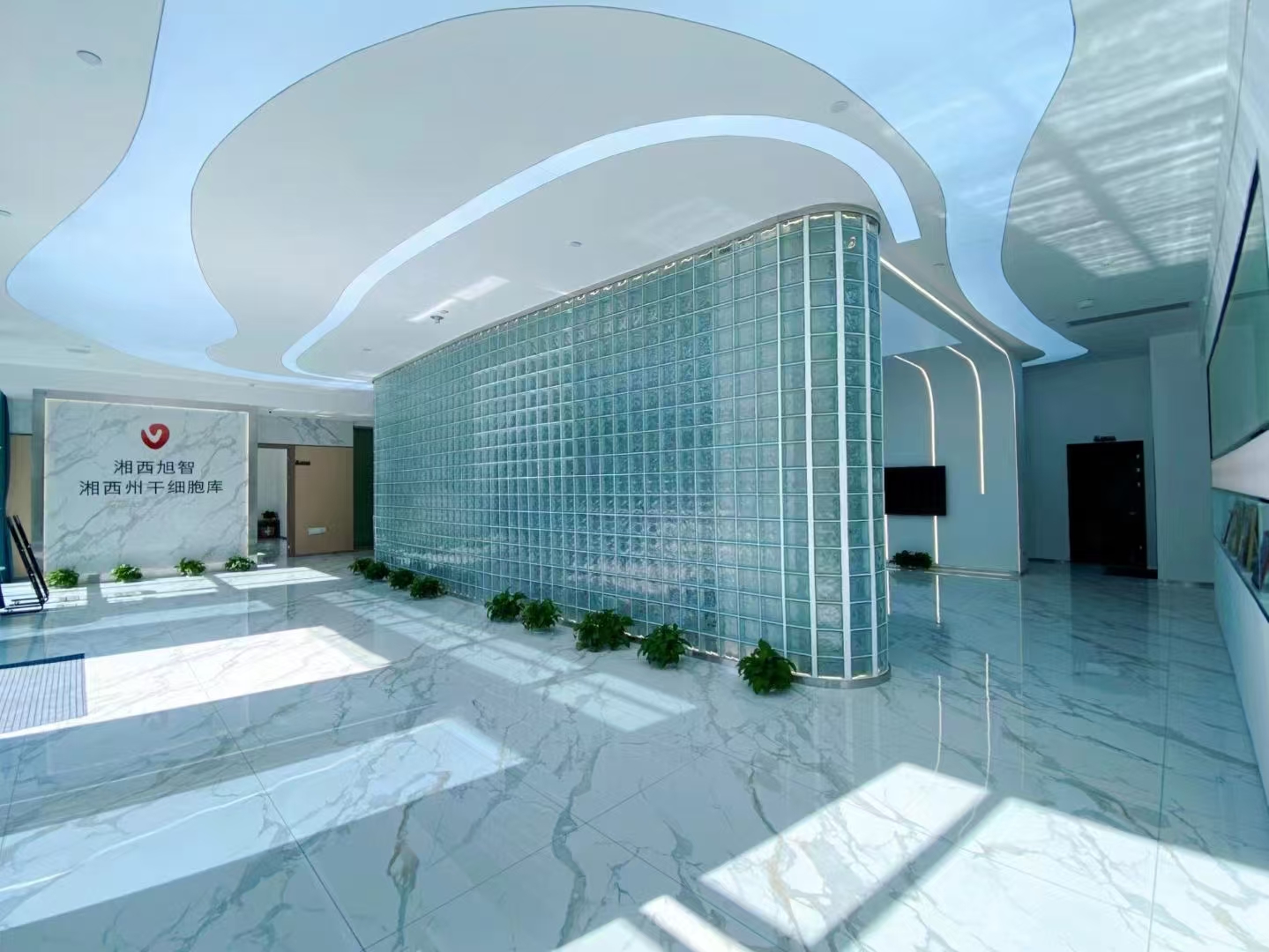 湘西州干细胞库