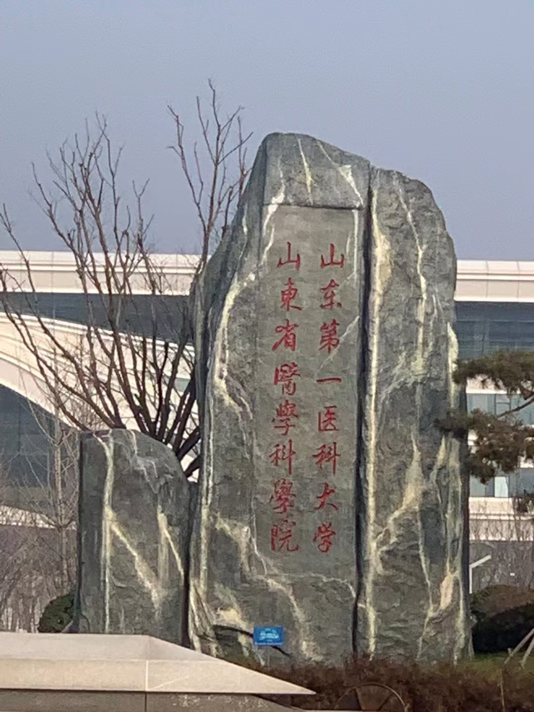 山东第一 医药大学